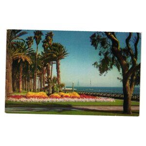 Santa Monica Palisades Palisades Park Postcard Fidelity Card Co Vintage Gloss